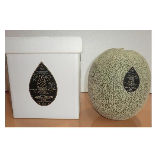 ふるさと納税 メロン メロン青肉 青森県 つがる市 数量限定 特大アクアメロン3000 青肉メロン (1玉) 糖度14度以上|青森県産 青森 つがる ブランド 特産品 メ…