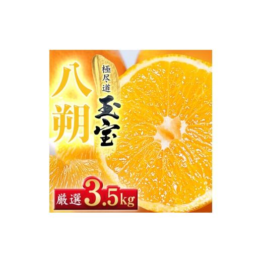 ふるさと納税 みかん・柑橘類 愛媛県 八幡浜市 先行受付 凛とした苦み クセになる旨み 八朔 3.5kg 愛媛県産 64-102 1751165 ふるさと納税 果物 くだもの は…
