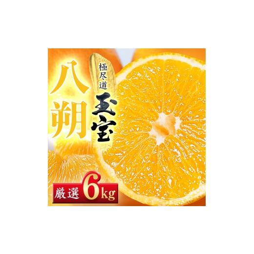 ふるさと納税 みかん・柑橘類 愛媛県 八幡浜市 先行受付 凛とした苦み クセになる旨み 八朔 6kg 愛媛県産 64-101 1751166 ふるさと納税 果物 くだもの はっ…