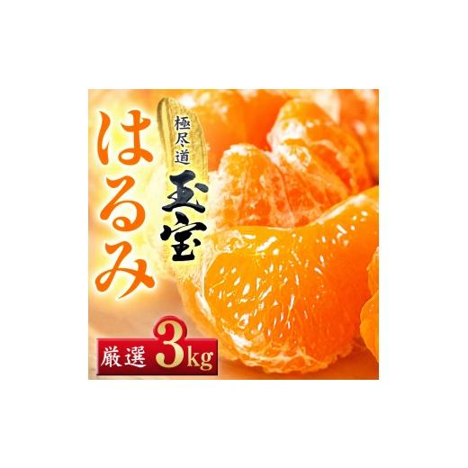 ふるさと納税 みかん・柑橘類 愛媛県 八幡浜市 先行受付 果粒の旨み ぷちぷち食感 はるみ 3kg 愛媛県産 64-103 1756051 ふるさと納税 果物 くだもの はるみ …