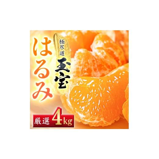 ふるさと納税 みかん・柑橘類 愛媛県 八幡浜市 先行受付 果粒の旨み ぷちぷち食感 はるみ 4kg 愛媛県産 64-99 1751176 ふるさと納税 果物 くだもの はるみ …