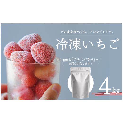 ふるさと納税 いちご 静岡県 南伊豆町 先行予約 2027年出荷 冷凍 いちご 4kg こだわり いちご フローズン 冷凍 イチゴ strawberry 苺 新鮮 朝摘み 朝採り 産…