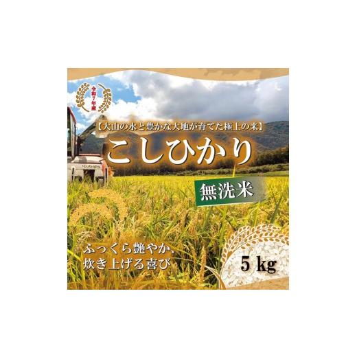 ふるさと納税 無洗米 鳥取県 北栄町 令和7年産 山崎農園こしひかり 無洗米5kg