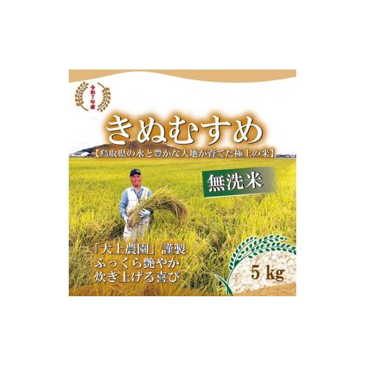 ふるさと納税 無洗米 鳥取県 北栄町 令和7年産 大上農園きぬむすめ 無洗米5kg