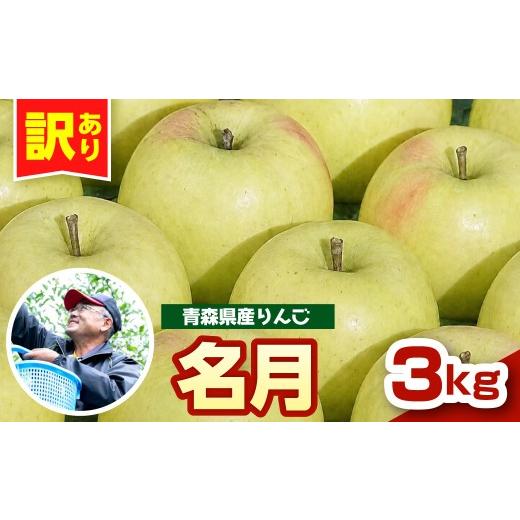 ふるさと納税 りんご 青森県 五所川原市 先行受付 11月中旬以降順次発送 りんご 3kg ぐんま名月 訳あり 青森県産 群馬名月 名月 農家直送 傷 キズ ワケアリ …