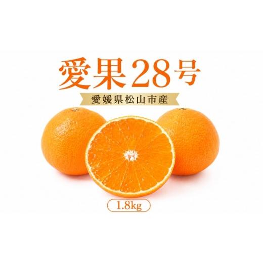 ふるさと納税 果物類 みかん 愛媛県 松山市 2026年11月下旬頃より順次発送 約1.8kg 愛果28号 8〜10個 | みかん 紅まどんなと同品種 家庭用 愛媛果試28号 松山…