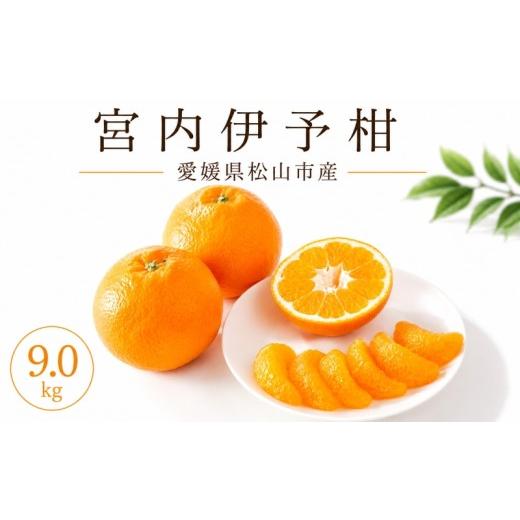ふるさと納税 果物類 みかん 愛媛県 松山市 2027年2月上旬より順次発送 伊予柑 約9.0kg 家庭用 愛媛県産 みかん | いよかん ミカン フルーツ 果物 くだもの …