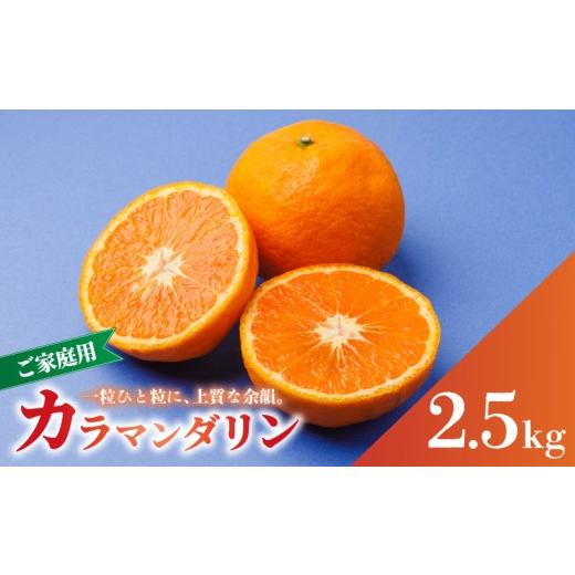 ふるさと納税 果物類 みかん 愛媛県 松山市 2027年4月中旬から順次発送 南津海・カラマンダリン 2.5kg サイズ混合 家庭用 B品 | 柑橘 松山市産ミカン みかん …