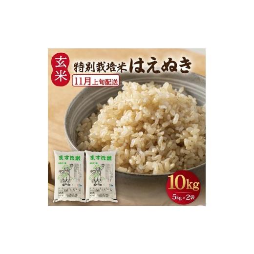 ふるさと納税 玄米 山形県 酒田市 11月上旬配送/令和8年産 玄米 特別栽培米『はえぬき』 10kg(5kg×2袋)[減農薬・減化学肥料] MA SB1012 令和8年11月上旬…