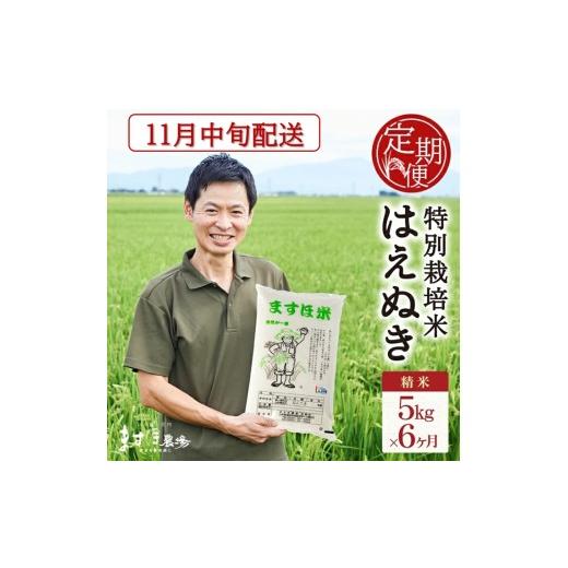 ふるさと納税 米 はえぬき 山形県 酒田市 11月中旬発送開始/ 6回定期便 令和8年産 精米 特別栽培米『はえぬき』5kg×6回(計30kg) [減農薬・減化学肥料] MA …