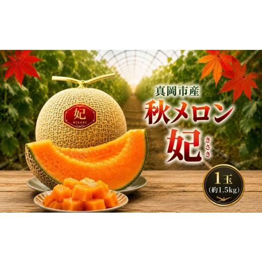 ふるさと納税 メロン メロン赤肉 栃木県 真岡市 真岡市産 完熟 秋メロン 妃 1玉(約1.5kg) |先行予約 完熟 果物 秋 メロン フルーツ ギフト デザート 栃木県 真…