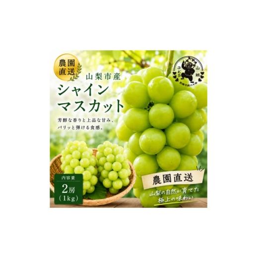 ふるさと納税 ぶどう 山梨県 山梨市 山賊ぶどう シャインマスカット 2房(約1キロ) 1761371