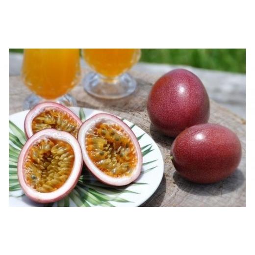 ふるさと納税 果物類 鹿児島県 瀬戸内町 2027年発送分 先行受付 パッションフルーツ 化粧箱12個入り(L玉)×10箱 たけはら農園