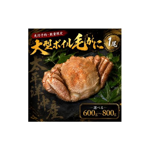ふるさと納税 カニ 毛ガニ 北海道 広尾町 先行予約・数量限定 大型ボイル毛ガニ 600g 1尾(茹で冷凍) けがに ケガニ 毛蟹 毛がに カニ 太平洋 北海…