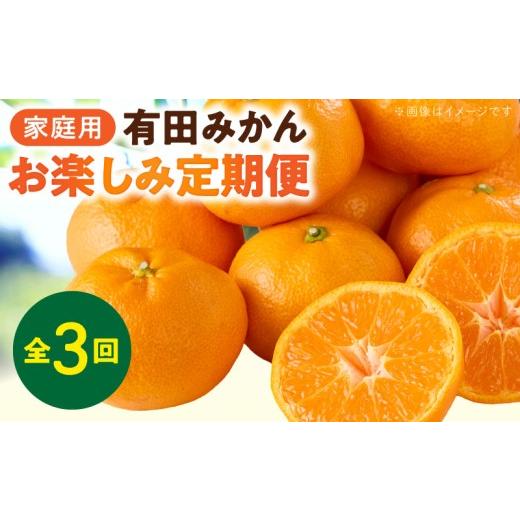 ふるさと納税 果物類 みかん 和歌山県 湯浅町 2026年先行予約 有田みかん 訳あり 家庭用 定期便 3ヶ月 内容量 約 5kg S 〜 L サイズ混合 みかん 大きさ お任…