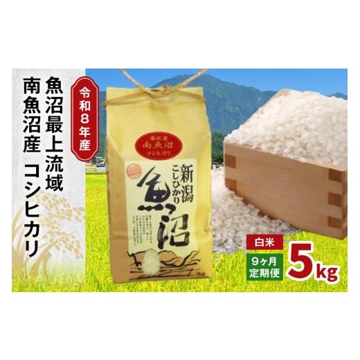 ふるさと納税 米 コシヒカリ 新潟県 湯沢町 令和8年産 5kg 9か月定期便 [白米]魚沼最上流域 南魚沼産 コシヒカリ 精米したてのお米をお届け 湯沢産 コシヒカ…