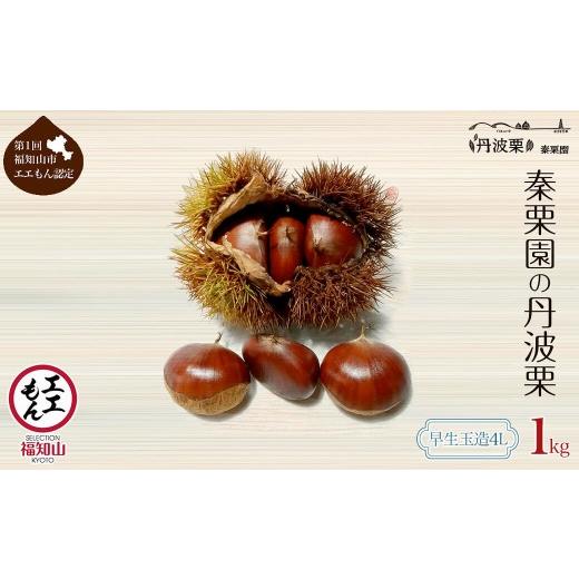 ふるさと納税 果物類 栗 京都府 福知山市 先行予約受付中 2026年9月中旬以降順次発送予定 秦栗園の丹波栗(早生玉造・4L・1kg) fc-AC001-H 秦栗園 早生玉造:4…