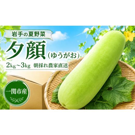 ふるさと納税 人参・大根・他根菜 岩手県 一関市 数量/期間限定 農家直送 一関市産 夕顔 1本 2〜3kg ゆうがお 国産 夏野菜 野菜 郷土食材 煮物用 岩手県 一…