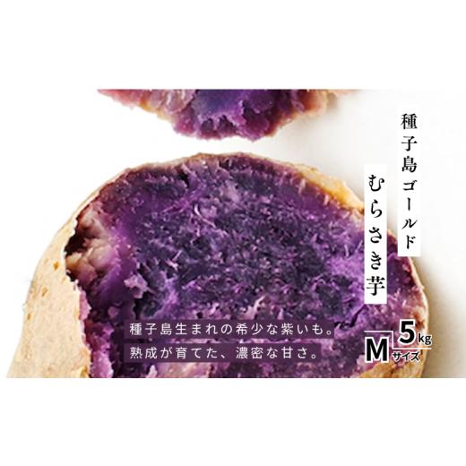 ふるさと納税 野菜類 サツマイモ 鹿児島県 西之表市 先行予約 種子島 野?ファーム 種子島ゴールド M サイズ 5kg NFN661 300pt // 本場 糖度 熟成期間 G.I …