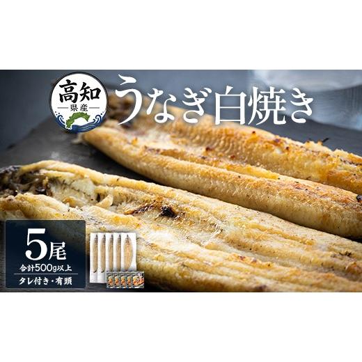 ふるさと納税 うなぎ 高知県 香南市 うなぎ 白焼き 5尾 高知県産うなぎの白焼き (100g〜120g×5尾) - 白焼き 国産 鰻 ウナギ 有頭 白焼き 背開き ウナギ …