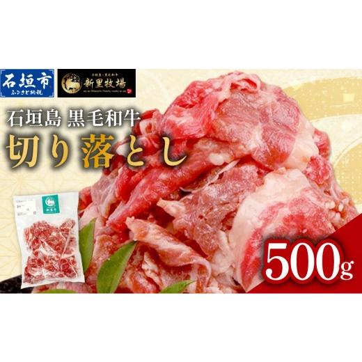 ふるさと納税 牛肉 沖縄県 石垣市 石垣島産 黒毛和牛 新里牛 多用途抜群 切落し (500g×1) 500g SZ-13 500g