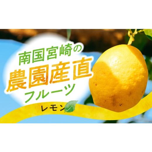 ふるさと納税 果物類 宮崎県 宮崎市 [2026年9月〜2027年2月発送先行予約] 数量・期間限定 南国宮崎の農園産直 レモン5kg_M342-010 49,000円 レモン5kg