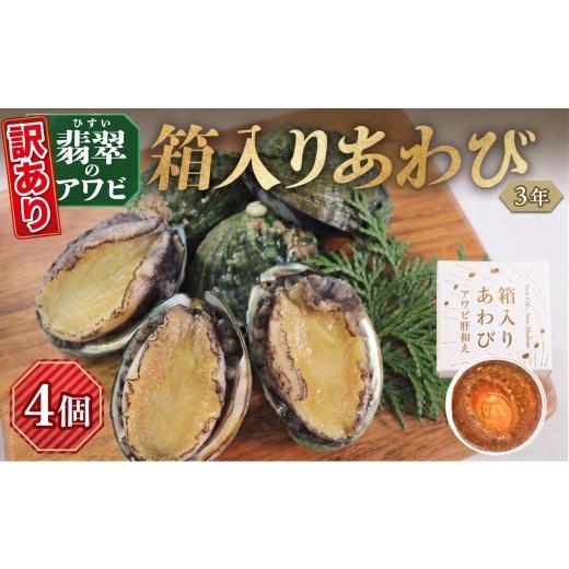 ふるさと納税 魚貝類 アワビ 岩手県 大船渡市 訳あり 箱入りあわび 4個セット メキシカンチリスープ風 缶詰 鮑 アワビ 翡翠鮑 箱入り 国産 海鮮 養殖 缶詰 保…