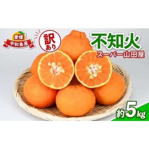 ふるさと納税 果物類 みかん 愛媛県 宇和島市 みかん 訳あり 不知火 ( デコポン と同品種) 約 5kg スーパー山田屋 先行予約 しらぬい 甘い 果物 くだもの フル…