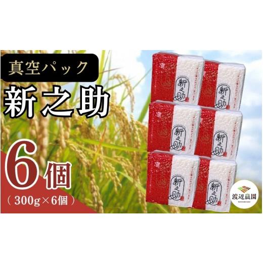 ふるさと納税 米 新潟県 五泉市 真空パック 五泉産 精米 詰め合わせセット 新之助 6個入り 新潟県 五泉市 渡辺農園