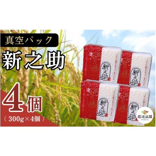 ふるさと納税 米 新潟県 五泉市 真空パック 五泉産 精米 詰め合わせセット 新之助4袋入り 新潟県 五泉市 渡辺農園