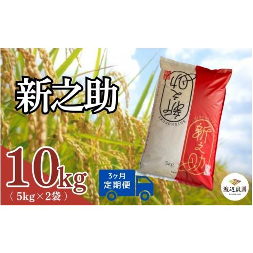 ふるさと納税 米 新潟県 五泉市 令和8年産先行予約 定期便 3ヶ月 米 10kg × 3回 五泉産 新之助 | 白米 精米 しんのすけ お米 おこめ コメ こめ おすすめ 人気…
