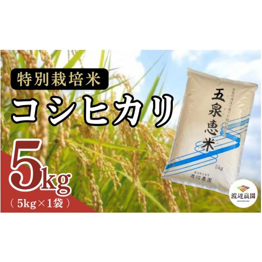 ふるさと納税 米 コシヒカリ 新潟県 五泉市 令和7年産 コシヒカリ 5kg (5kg × 1袋) 五泉産 五泉恵米 特別栽培米 | 新潟産コシヒカリ 新潟県産コシヒカリ 新潟…