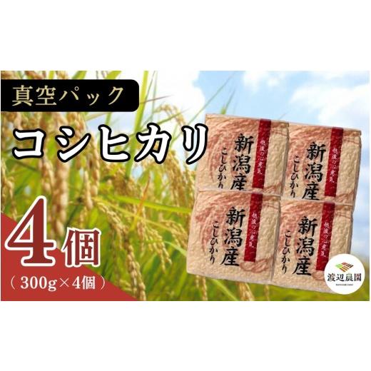 ふるさと納税 米 新潟県 五泉市 真空パック 五泉産 精米 詰め合わせセット コシヒカリ4袋入り 新潟県 五泉市 渡辺農園