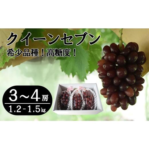 ふるさと納税 果物類 ぶどう 山梨県 富士川町 数量限定 クイーンセブン 3〜4房(1.2〜1.5kg) ぶどう ブドウ 葡萄 くだもの 果物 フルーツ 山梨 やまなし …