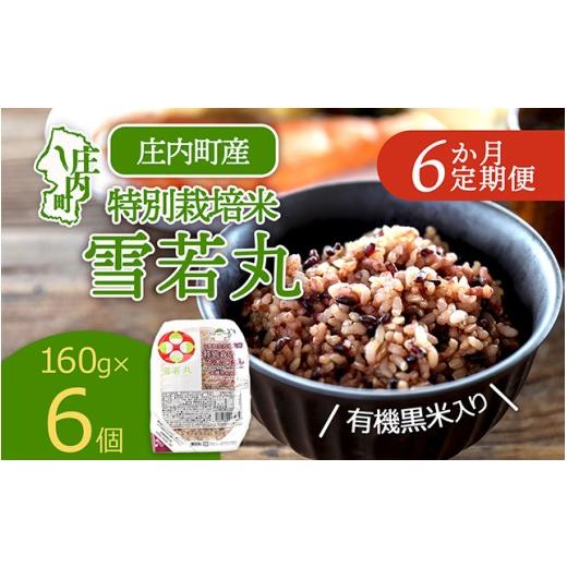 ふるさと納税 玄米 山形県 庄内町 定期便 チョイス限定 雪若丸 玄米 パックごはん 160g×6個×6ヶ月 毎月お届け 有機黒米入り 山形県庄内町産 保存食 非常食 …