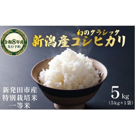 ふるさと納税 米 コシヒカリ 新潟県 新発田市 令和8年産先行予約 米 クラシック コシヒカリ 5kg (5kg×1袋) 新潟県産 令和8年産 令和8年 お米 白米 ご飯 米 …