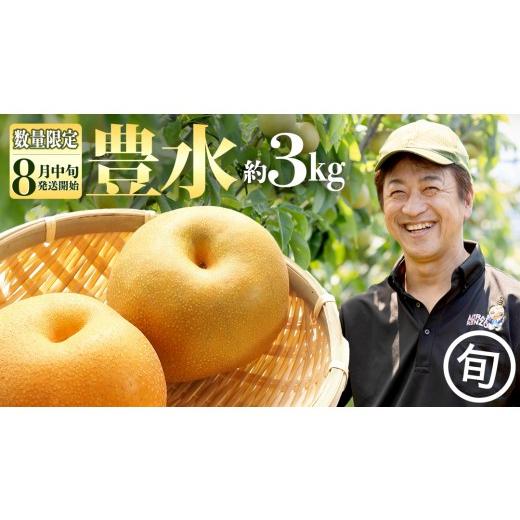 ふるさと納税 梨 茨城県 つくばみらい市 数量限定 梨 豊水 約 3kg 農園から直送 2026年8月中旬発送開始 ほうすい 梨 ナシ なし 果物 フルーツ デザート 秋 茨…