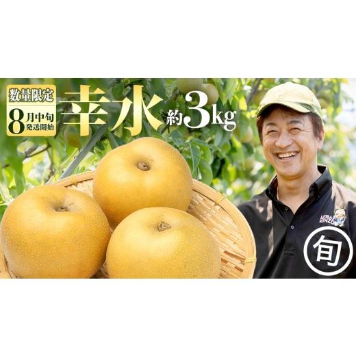 ふるさと納税 梨 茨城県 つくばみらい市 数量限定 梨 幸水 約 3kg 農園から直送 2026年8月中旬発送開始 こうすい 梨 ナシ なし 果物 フルーツ デザート 秋 茨…