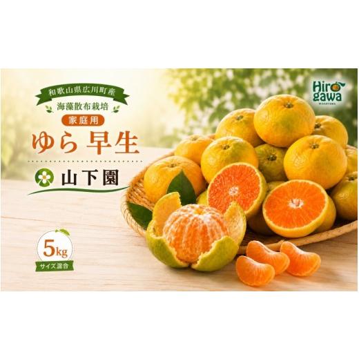 ふるさと納税 果物類 みかん 和歌山県 広川町 ゆら早生 5kg 家庭用 サイズ混合 / 和歌山 有田 広川 由良 みかん 柑橘 果物 くだもの フルーツ 果実 2026年10…