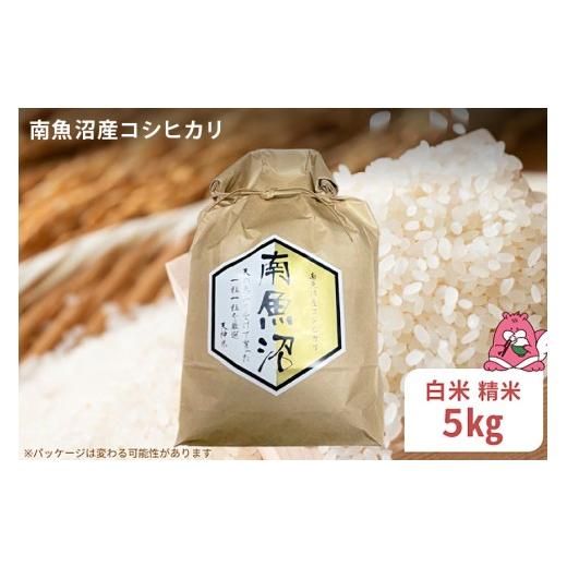 ふるさと納税 米 コシヒカリ 新潟県 湯沢町 令和8年産 5kg[白米]越後湯沢産 南魚沼産 コシヒカリ 豪雪を源とする水の恵み 湯沢産 コシヒカリ