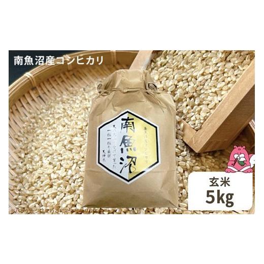 ふるさと納税 米 コシヒカリ 新潟県 湯沢町 令和8年産 5kg[玄米]越後湯沢産 南魚沼産 コシヒカリ 豪雪を源とする水の恵み 湯沢産 コシヒカリ