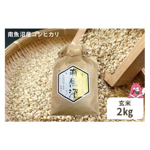 ふるさと納税 米 コシヒカリ 新潟県 湯沢町 令和8年産 2kg[玄米]越後湯沢産 南魚沼産 コシヒカリ 豪雪を源とする水の恵み 湯沢産 コシヒカリ