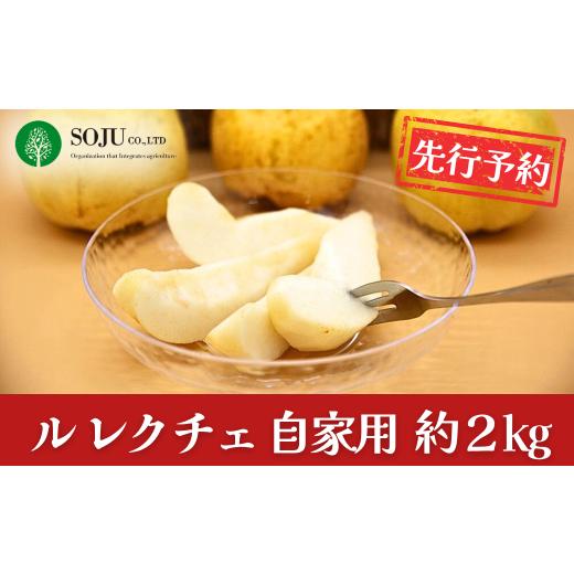 ふるさと納税 梨 新潟県 三条市 先行予約 ル レクチェ 自家用 約2kg 洋梨 JGAP認証農場 幻の西洋梨 新潟県 三条市産 冬限定 フルーツ 秋 旬 ル・レクチェ 三条…