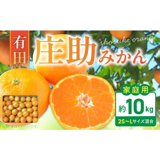 ふるさと納税 みかん・柑橘類 和歌山県 湯浅町 2026年先行予約 庄助みかん ご家庭用 庄助農園 みかん サイズ 混合 甘さ 酸味 ハーモニー 完熟 旬 フルーツ デ…