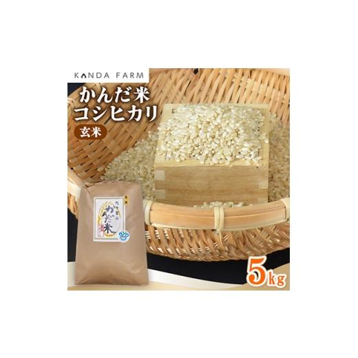 ふるさと納税 玄米 富山県 小矢部市 令和7年産 鮮度の米 かんだ米『コシヒカリ』玄米 5kg×1袋 1760445