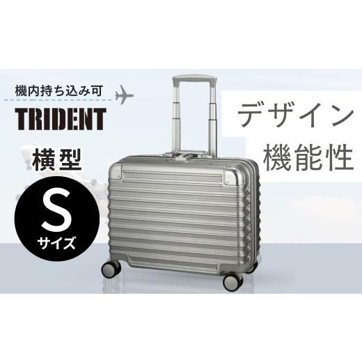 ふるさと納税 雑貨・日用品 埼玉県 越谷市 横型・Sサイズ トライデント シルバー TRI1030-45 | キャリーケース きゃりーけーす スーツケース すーつけーす 旅…