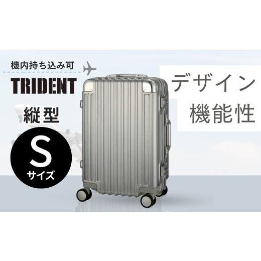 ふるさと納税 雑貨・日用品 埼玉県 越谷市 縦型・Sサイズ トライデント シルバー TRI1030-48 | キャリーケース きゃりーけーす スーツケース すーつけーす 旅…
