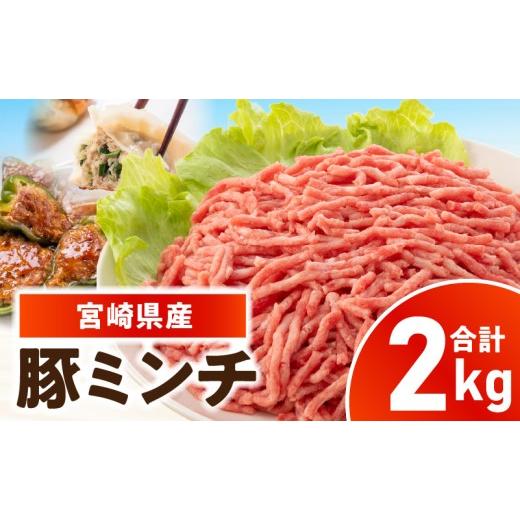 ふるさと納税 豚肉 ハンバーグ 宮崎県 国富町 宮崎県産豚ミンチ 2kg_kn126-002-020 500g×4パック