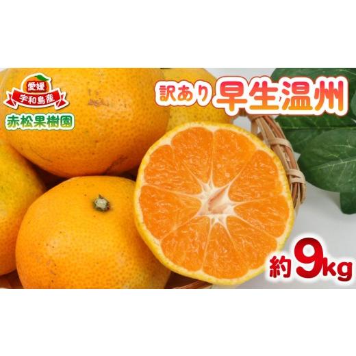 ふるさと納税 果物類 みかん 愛媛県 宇和島市 訳あり 早生温州 9kg 先行予約 赤松果樹園 みかん ミカン 温州みかん 温州 甘い 爽やか 酸味 果物 くだもの フル…