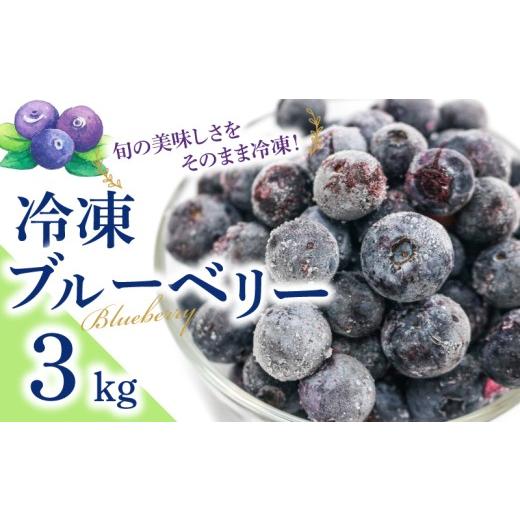 ふるさと納税 果物類 埼玉県 羽生市 ブルーベリー 冷凍 3kg 埼玉県羽生市の特産ブルーベリー 大容量 サイズ無選別 国産 冷凍 新鮮 国産 フルーツ ふるーつ 果…